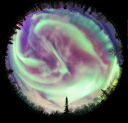 thumbnail2.jpg